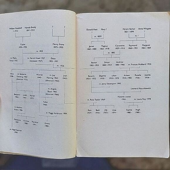 Vtg 90s Book | The Stone Diaries by Carol Shields - Picture 9 of 11